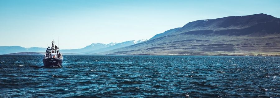 barco para ver ballenas en islandia